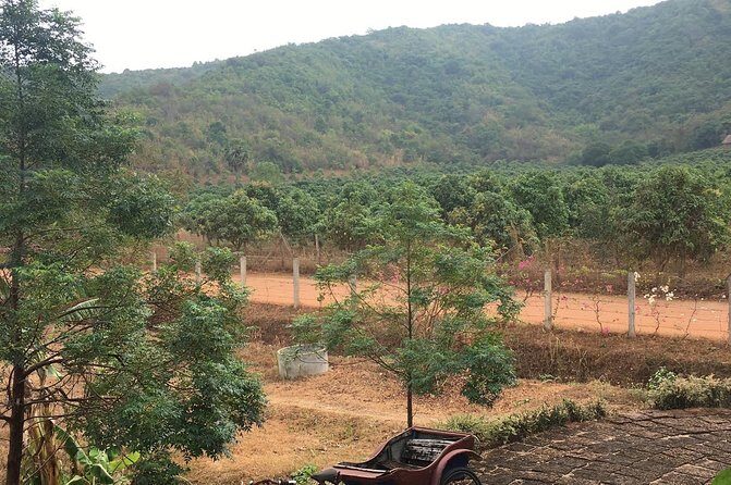 Full-Day Kampot & Kep with a local Tuk Tuk Tours - FAQ