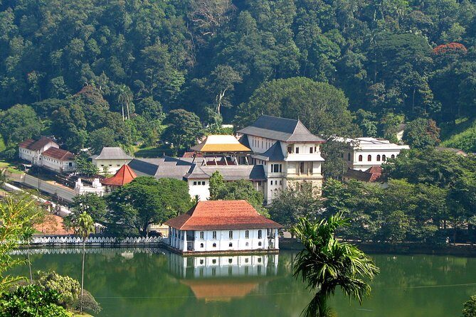 Full-Day Kandy Highlights Tour - Why the Full-Day Kandy Highlights Tour Might Work for You