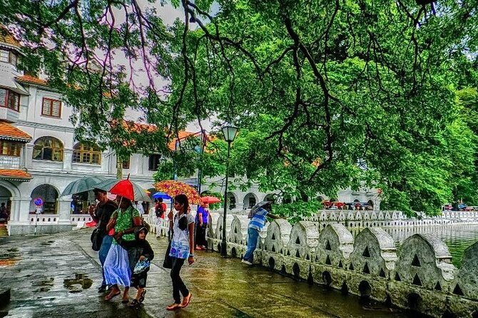 Full day Kandy walking tour with TUK TUK ride to Peradeniya gardens - An In-Depth Look at the Kandy Tour Experience