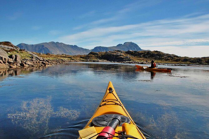 Full Day Kayak-Northern Explorer - Exploring the Lofoten Waters: What to Expect