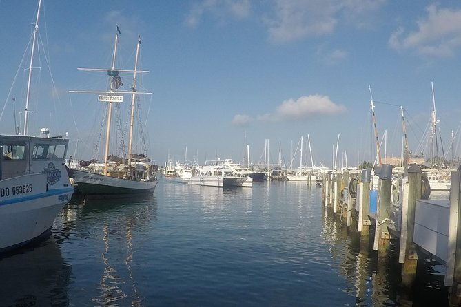 full-day-key-west-tour-and-coral-reef-snorkeling-with-open-bar