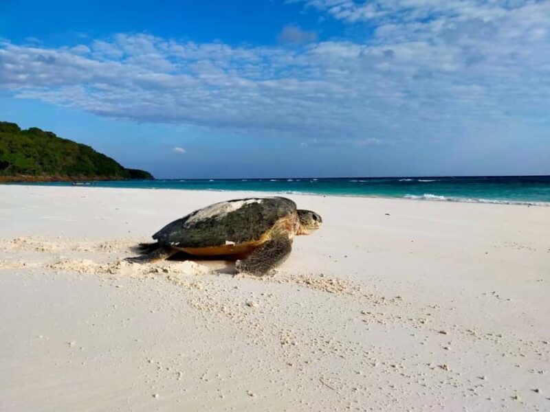 Full-Day Khaolak Highlights & Spa - Key Points