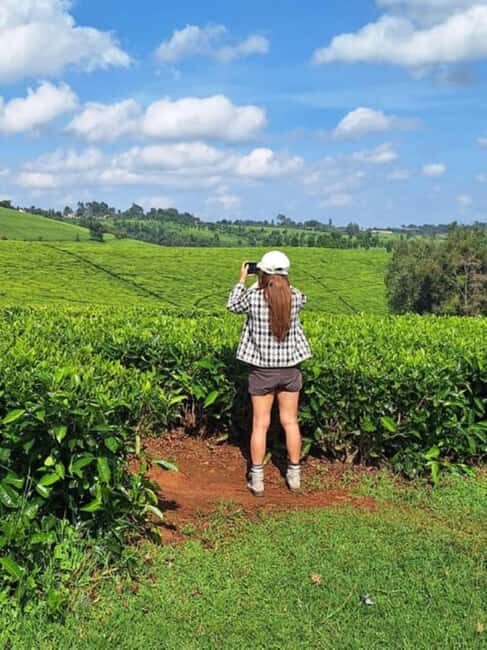 Full Day Kiambethu Tea Farm Tour - Key Points  