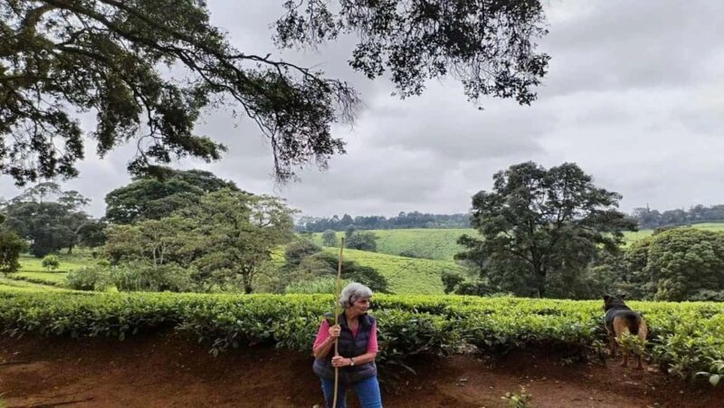 Full Day Kiambethu Tea Farm Tour - FAQ: Your Questions About the Kiambethu Tea Farm Tour Answered