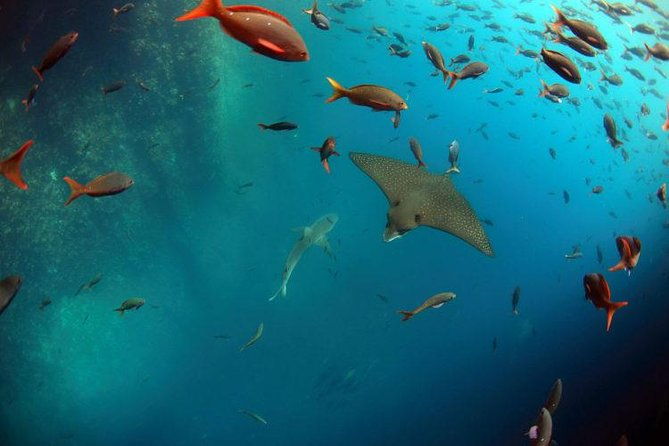 full-day-kicker-rock