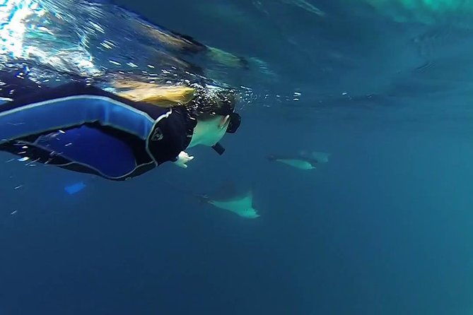 full-day-kicker-rock