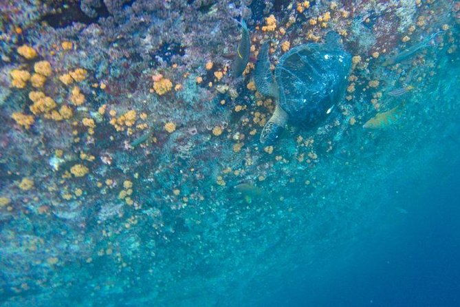 full-day-kicker-rock