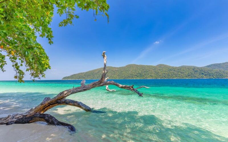 Full-Day Koh Lipe 5 Points Snorkeling Experience With Lunch - Inclusions