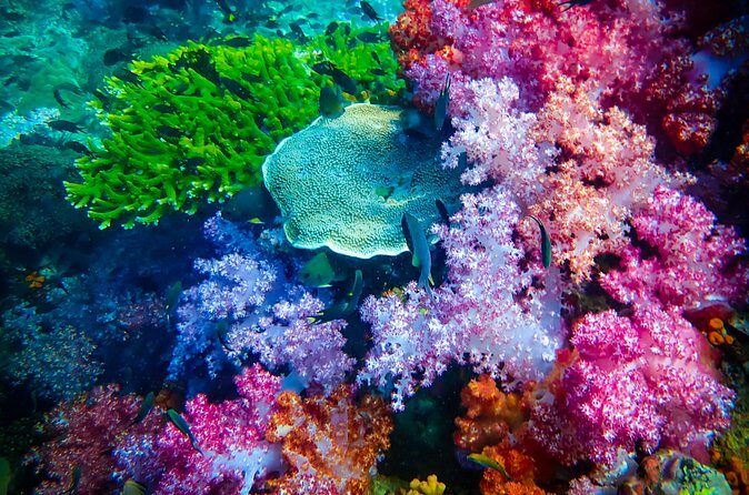 Full-Day Koh Lipe 7 Islands Snorkeling Experience with Lunch - FAQs