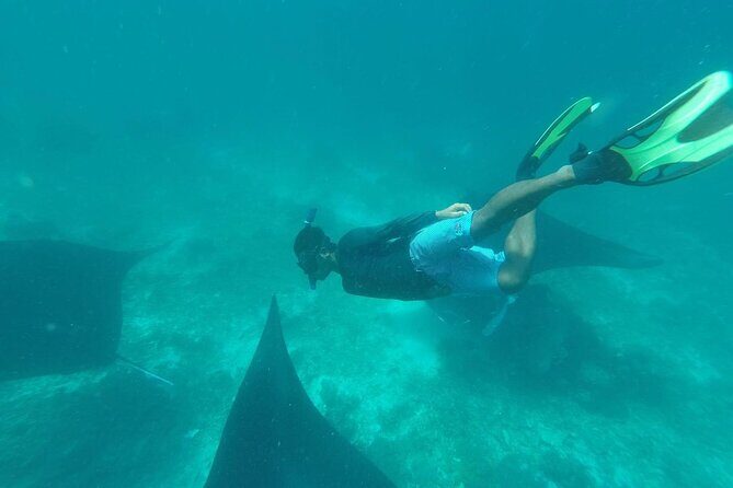 Full-Day Komodo Island Boat Trip - Who Should Consider This Tour?