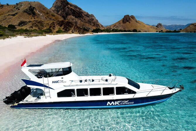 Full Day Komodo Tour With MK Express Speedboat Visit 6 Spot - Key Points