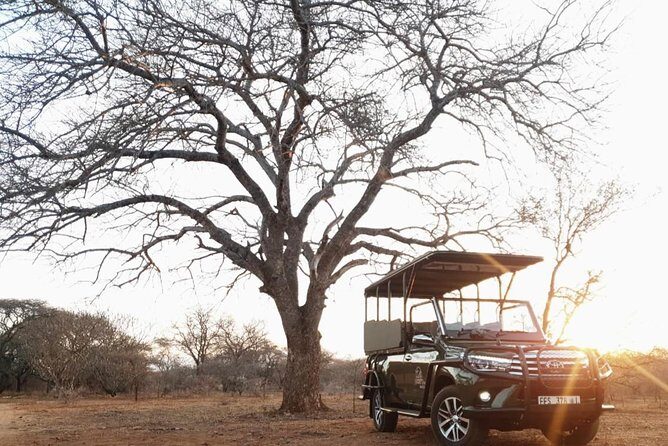 Full Day Kruger National Park - What Sets This Tour Apart?