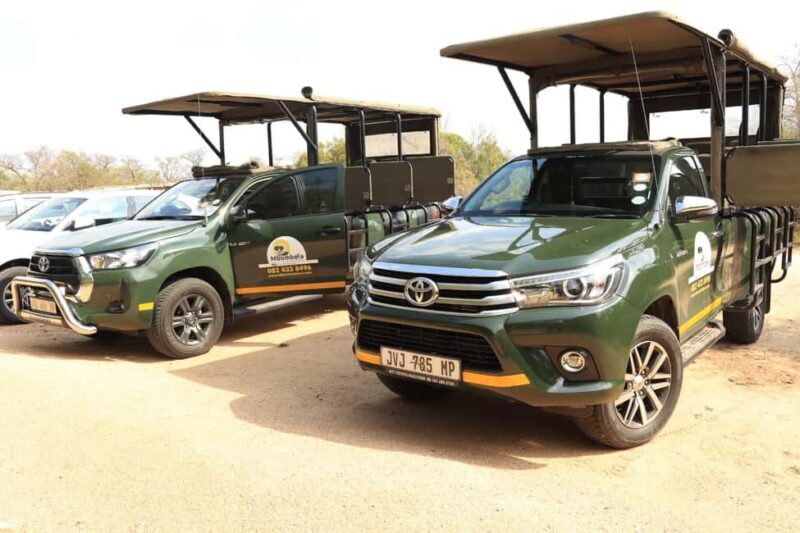 Full Day Kruger National Park Game Drive - Key Points