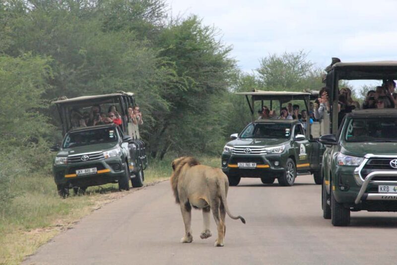 Full Day Kruger National Park Game Drive - Frequently Asked Questions