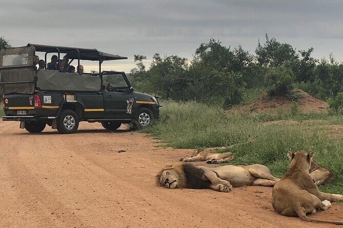 Full Day Kruger National Park Game Drive - Introduction