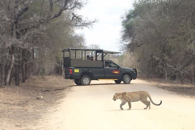 Full Day Kruger National Park Game Drive - Who Should Consider This Tour?