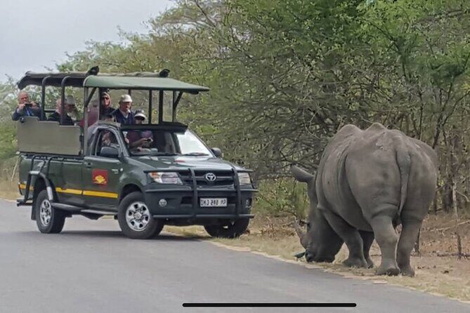 Full Day Kruger National Park Game Drive - The Sum Up