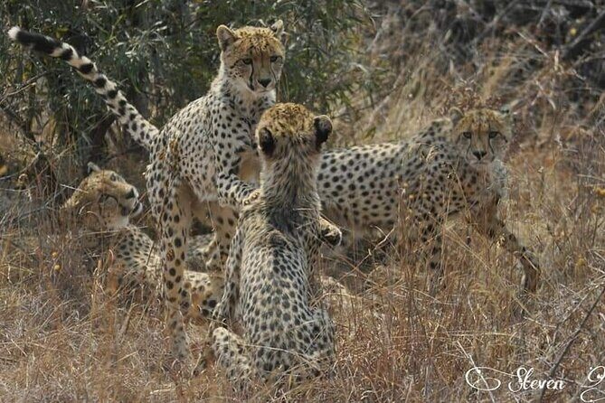 Full day Kruger National Park Tour - Key Points