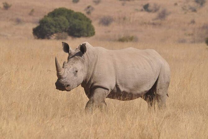 Full day Kruger National Park Tour - Final Thoughts