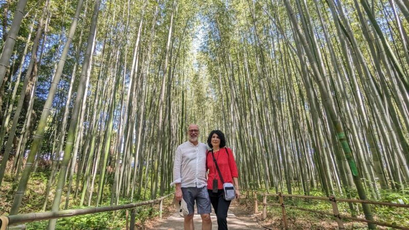 full-day-kyoto-walking-tour-most-iconic-landmarks-monkeys