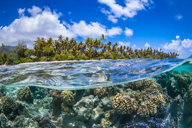 Full Day Lagoon Group Tour in Bora Bora with Lunch - FAQ  