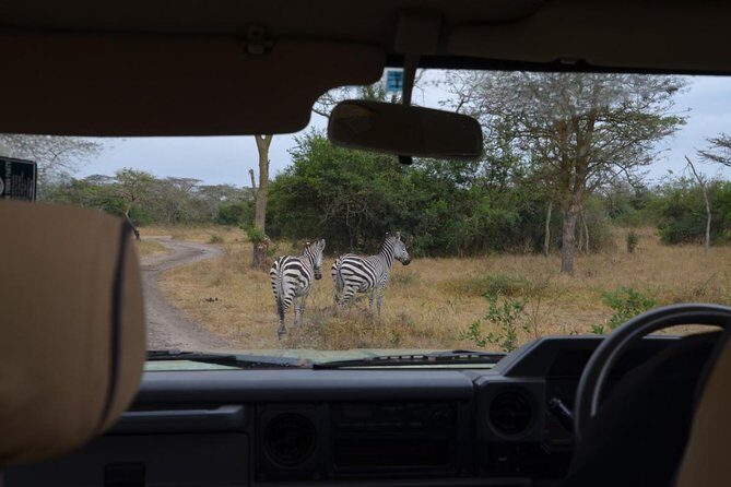 Full-Day Lake Mburo National Park Safari with Boat trip (2 day option available) - A Closer Look at the Tour Experience