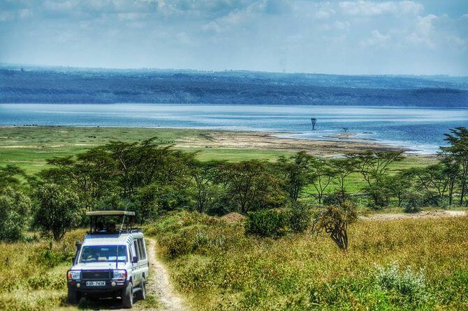 Full Day Lake Nakuru Park and optional boat ride on Lake Naivasha - The Bottom Line