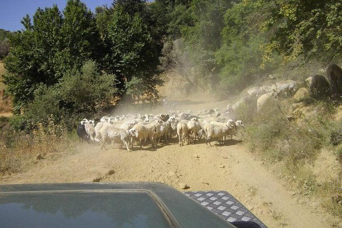 full-day-land-rover-safari-from-heraklion-with-lunch