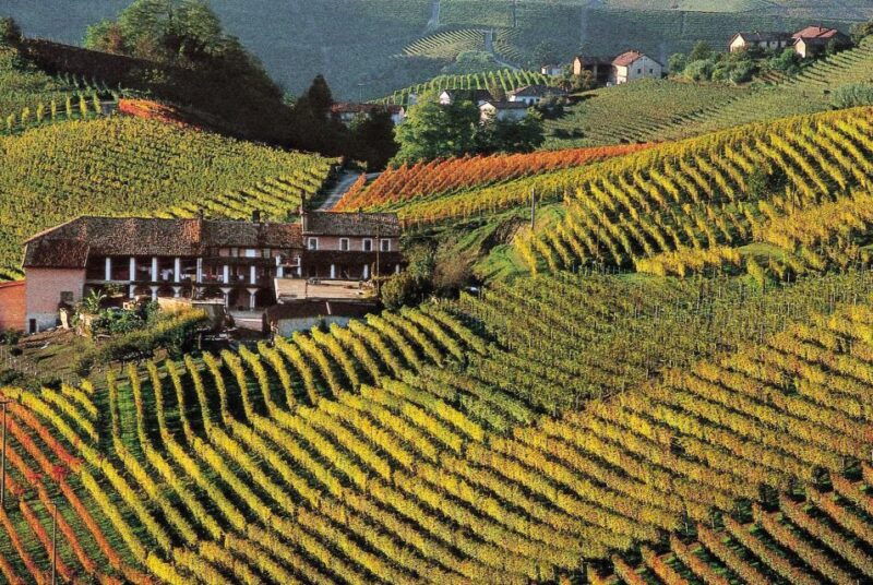 full-day-langhe-region-tour-with-wine-tasting-experience