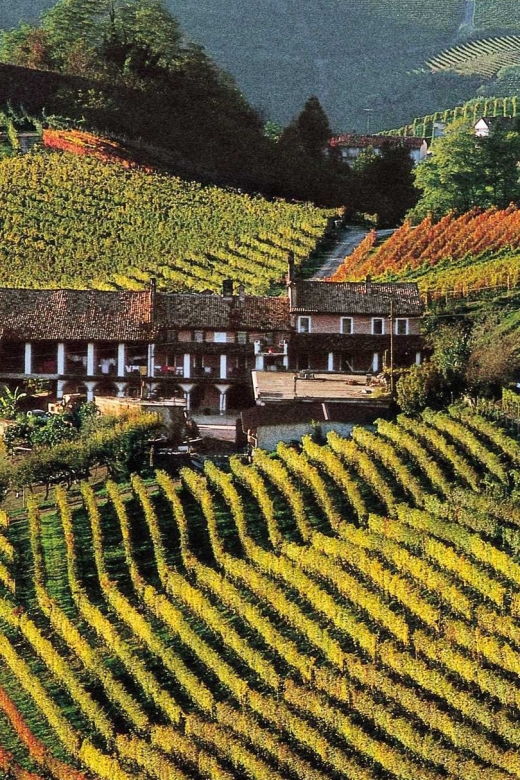 full-day-langhe-region-tour-with-wine-tasting-experience