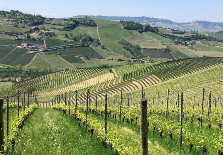 full-day-langhe-region-tour-with-wine-tasting-experience