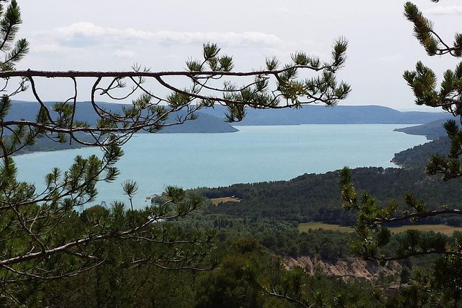 full-day-lavender-tour-luberon-and-sault