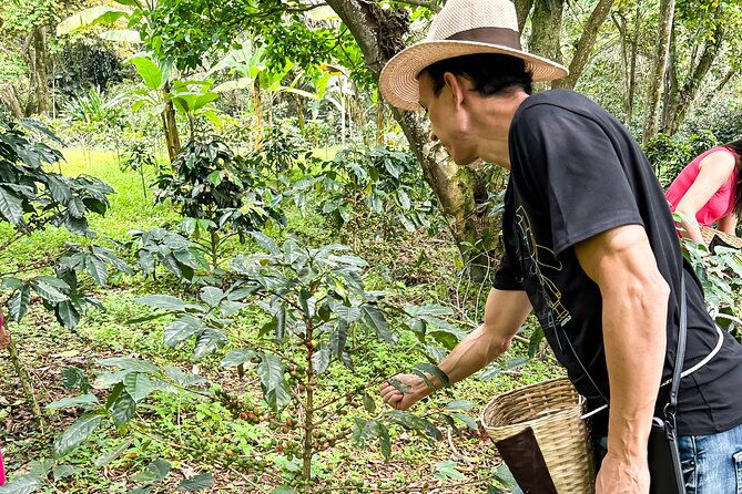 full-day-learning-about-the-process-of-the-best-coffee-in-the-world