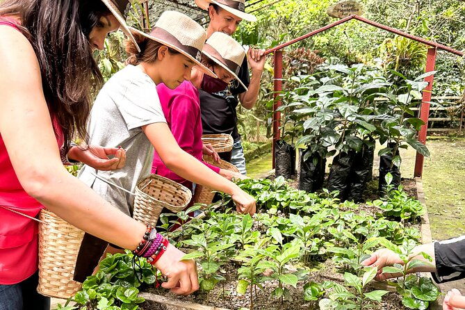 full-day-learning-about-the-process-of-the-best-coffee-in-the-world