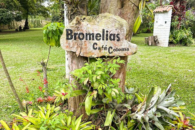 full-day-learning-about-the-process-of-the-best-coffee-in-the-world