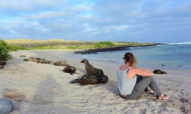 full-day-leon-dormido-and-lobos-island-tour