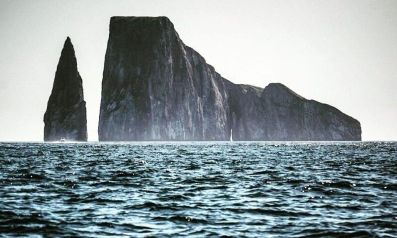 full-day-leon-dormido-and-lobos-island-tour