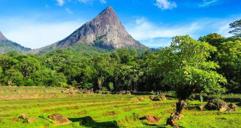 full-day-leopard-safari-at-yala-and-traditional-curd-tasting