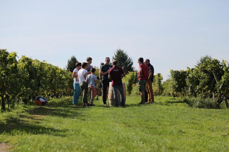 full-day-loire-valley-wine-tour-with-lunch-vouvray-chinon