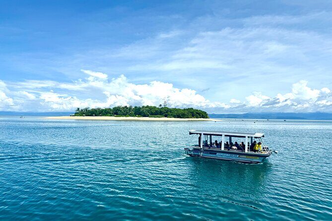 Full Day Low Isles Sailing & Snorkelling Cruise from Port Douglas - The Sum Up