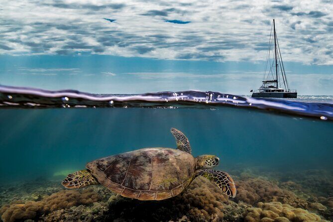Full Day Low Isles Sailing & Snorkelling Cruise from Port Douglas - FAQ
