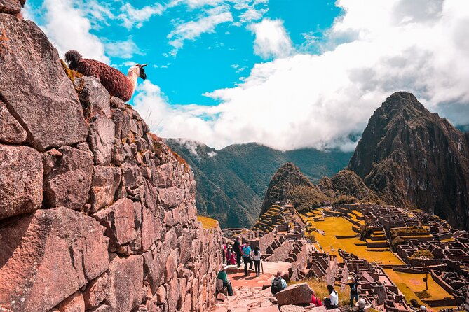 full-day-machu-picchu-guided-tour-from-cusco