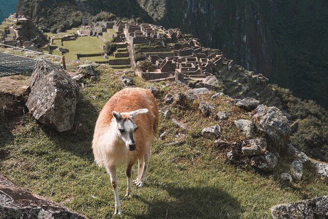 full-day-machu-picchu-guided-tour-from-cusco