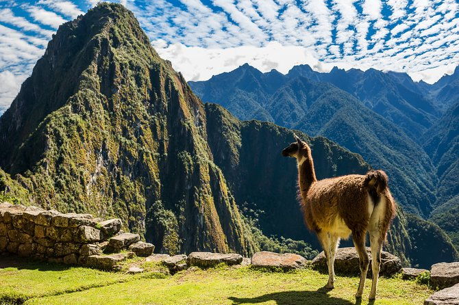 full-day-machu-picchu-tour-from-cusco