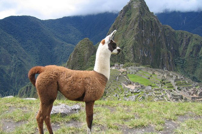full-day-machupicchu-tour-small-group