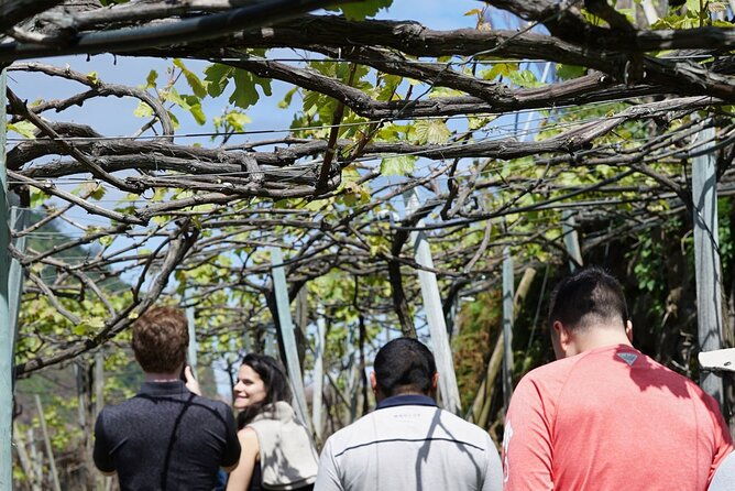 full-day-madeira-wine-tasting-tour-with-lunch