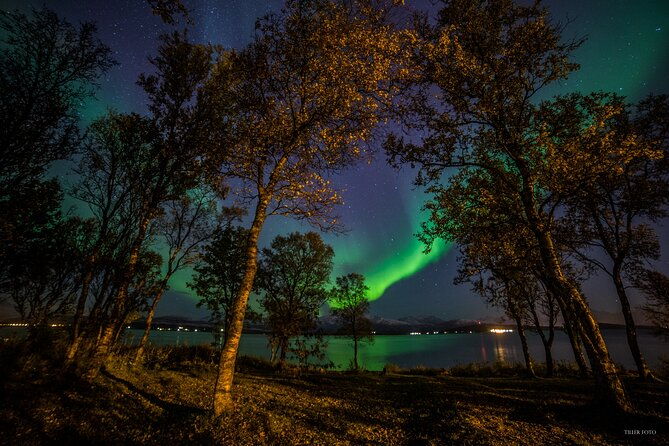 full-day-magic-of-the-arctic-lights-in-tromso