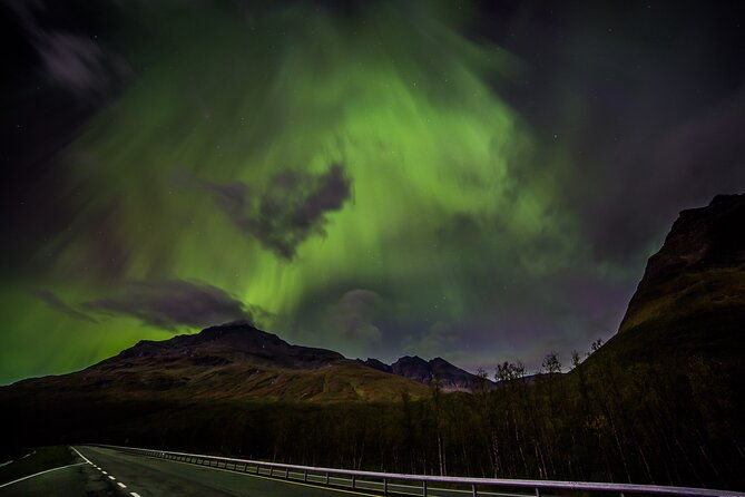 full-day-magic-of-the-arctic-lights-in-tromso