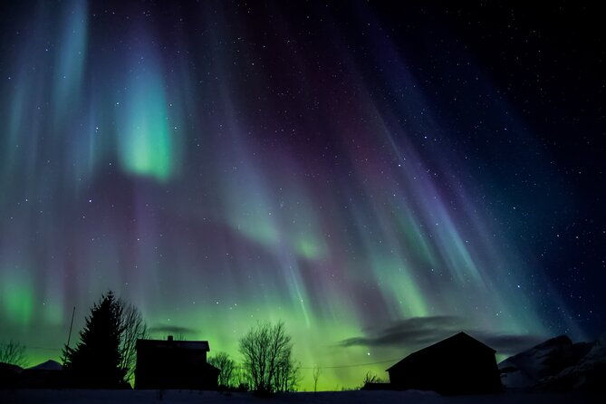 full-day-magic-of-the-arctic-lights-in-tromso