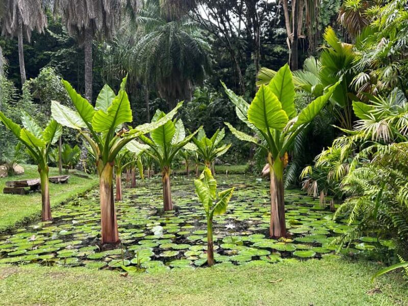 Full day Mahe Tour - What to Expect from the Full Day Mahe Tour